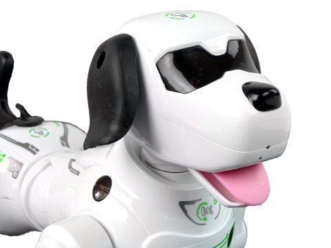 PIES ROBOT ZDALNIE STEROWANY INTERAKTYWNY PIESEK RC DŹWIĘKI ŚWIATŁA PILOT PIES ROBOT ZDALNIE STEROWANY INTERAKTYWNY PIESEK RC DŹWIĘKI ŚWIATŁA PILOT