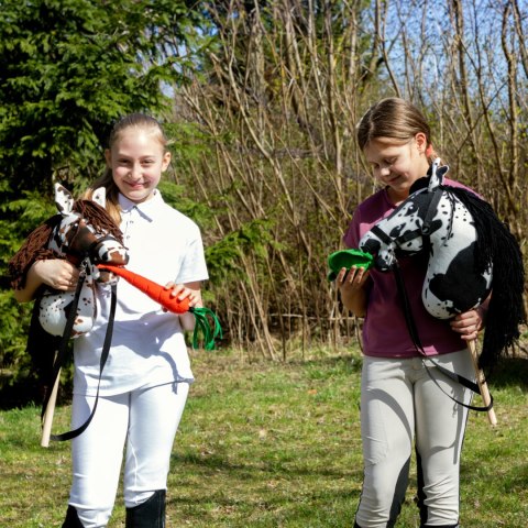 HOBBY HORSE SKIPPI KOŃ NA KIJU KARO SROKATY DLA DZIECI DO ZABAWY JAZDY SKOKÓW