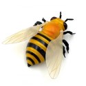 Zdalnie Sterowana Pszczoła na Pilot