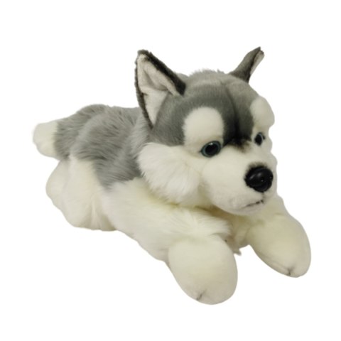 Maskotka Pies Husky Leżący Duży Pluszak 61cm Miękka Przytulanka Miś Piesek