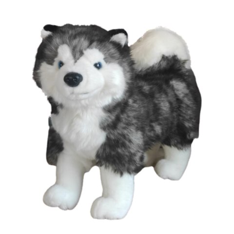 Maskotka Pies Husky Stojący Duży Pluszak 32cm Miękka Przytulanka Miś Piesek