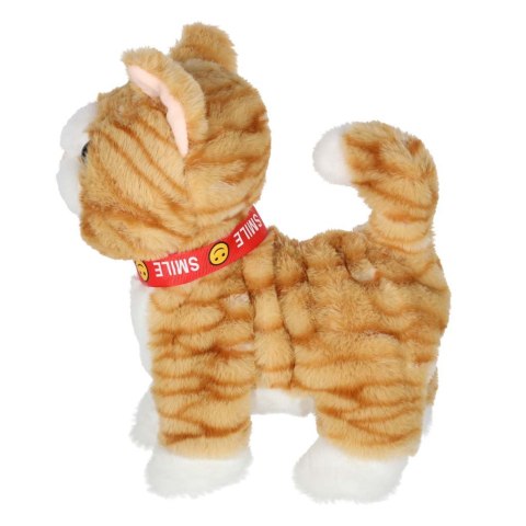 KOTEK INTERAKTYWNY NA SMYCZY MIAUCZY CHODZI RUSZA OGONEM REAGUJE NA DOTYK