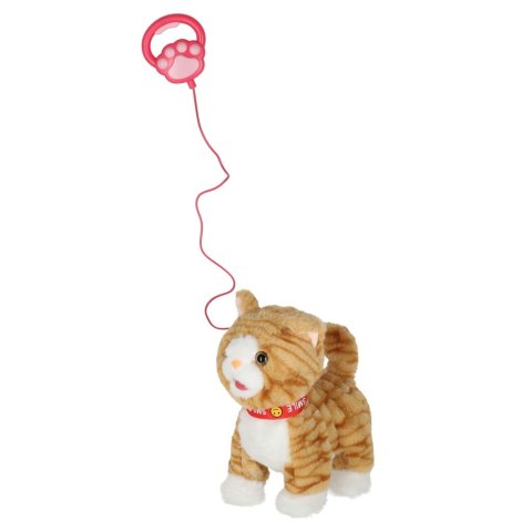 KOTEK INTERAKTYWNY NA SMYCZY MIAUCZY CHODZI RUSZA OGONEM REAGUJE NA DOTYK