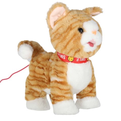 KOTEK INTERAKTYWNY NA SMYCZY MIAUCZY CHODZI RUSZA OGONEM REAGUJE NA DOTYK