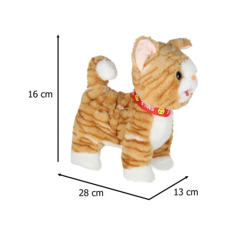 KOTEK INTERAKTYWNY NA SMYCZY MIAUCZY CHODZI RUSZA OGONEM REAGUJE NA DOTYK