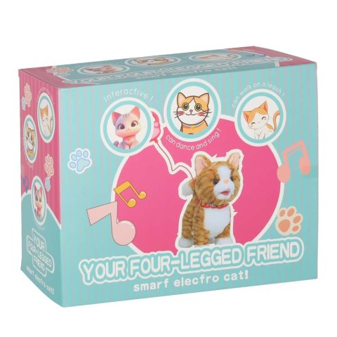 KOTEK INTERAKTYWNY NA SMYCZY MIAUCZY CHODZI RUSZA OGONEM REAGUJE NA DOTYK