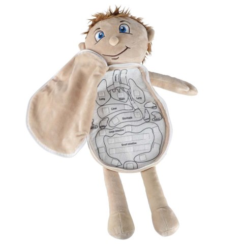 LALKA PLUSZOWA MASKOTKA BUDOWA CIAŁA NAUKA ANATOMII NARZĄDY CHŁOPIEC STEM