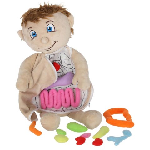 LALKA PLUSZOWA MASKOTKA BUDOWA CIAŁA NAUKA ANATOMII NARZĄDY CHŁOPIEC STEM