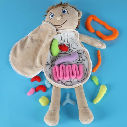 LALKA PLUSZOWA MASKOTKA BUDOWA CIAŁA NAUKA ANATOMII NARZĄDY CHŁOPIEC STEM