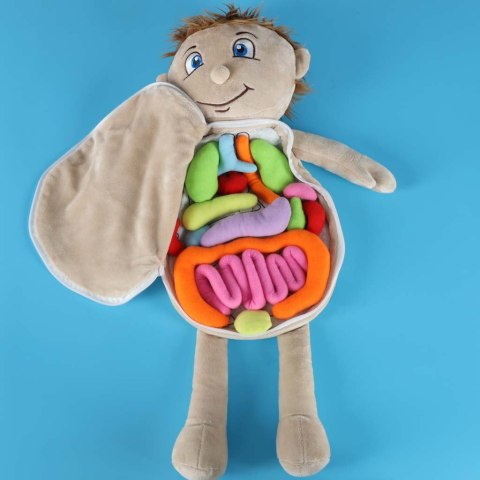 LALKA PLUSZOWA MASKOTKA BUDOWA CIAŁA NAUKA ANATOMII NARZĄDY CHŁOPIEC STEM
