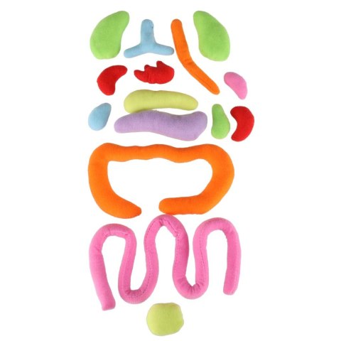 LALKA PLUSZOWA MASKOTKA BUDOWA CIAŁA NAUKA ANATOMII NARZĄDY CHŁOPIEC STEM