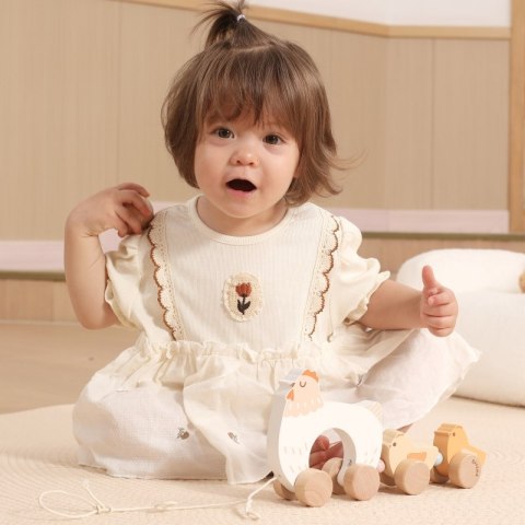 DREWNIANA KURKA Z PISKLĘTAMI DO CIĄGNIĘCIA KREATYWNA MOTORYCZNA KOORDYNACJA