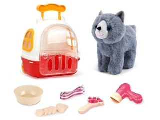 KOTEK Z TRANSPORTEREM ZESTAW DO PIELĘGNACJI KOTA MASKOTKA PLECAK AKCESORIA