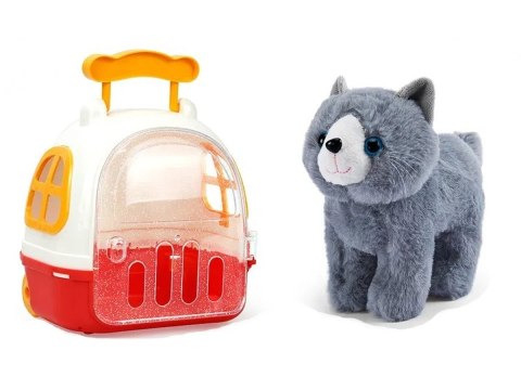 KOTEK Z TRANSPORTEREM ZESTAW DO PIELĘGNACJI KOTA MASKOTKA PLECAK AKCESORIA