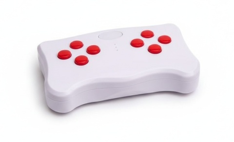 AUTO NA AKUMULATOR BUGGY ARCTIC CAT WILDCAT XX 24V DLA 2DZIECI 4X200W PILOT