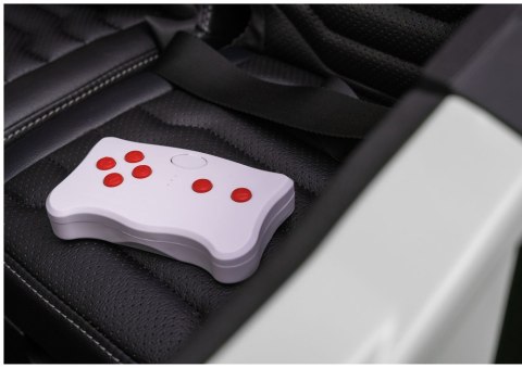 AUTO NA AKUMULATOR BUGGY ARCTIC CAT WILDCAT XX 24V DLA 2DZIECI 4X200W PILOT