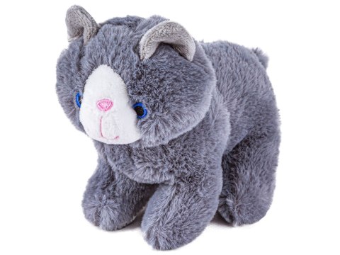 KOTEK Z TRANSPORTEREM ZESTAW DO PIELĘGNACJI KOTA MASKOTKA PLECAK AKCESORIA