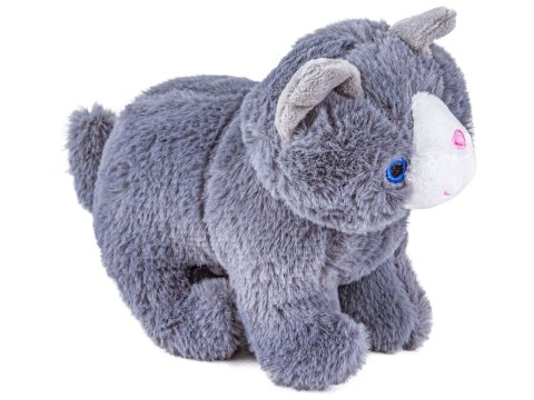 KOTEK Z TRANSPORTEREM ZESTAW DO PIELĘGNACJI KOTA MASKOTKA PLECAK AKCESORIA