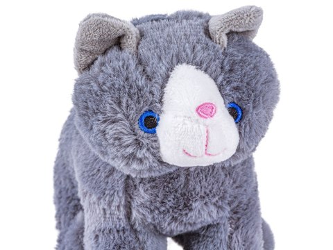 KOTEK Z TRANSPORTEREM ZESTAW DO PIELĘGNACJI KOTA MASKOTKA PLECAK AKCESORIA