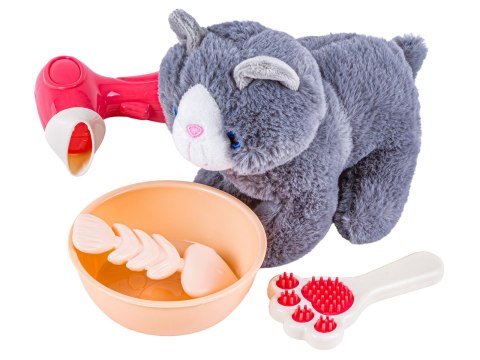 KOTEK Z TRANSPORTEREM ZESTAW DO PIELĘGNACJI KOTA MASKOTKA PLECAK AKCESORIA