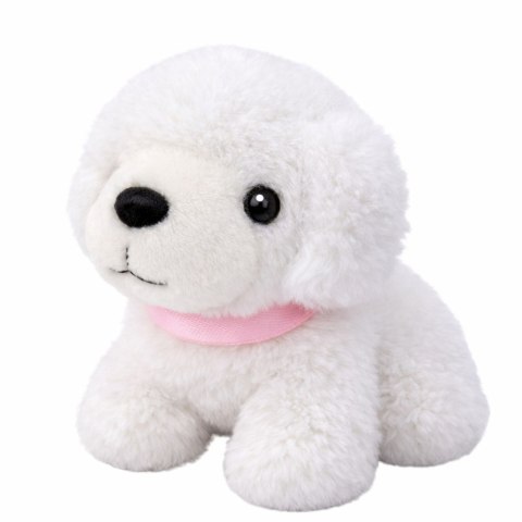 PIESEK W WALIZCE ZESTAW PIĘKNOŚCI SALON KOSMETYCZNY DLA ZWIERZĄT PLECAK 16EL