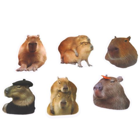 Zestaw Naklejki Kapibara Papierowe Prawdziwe Wizerunki 50 szt.