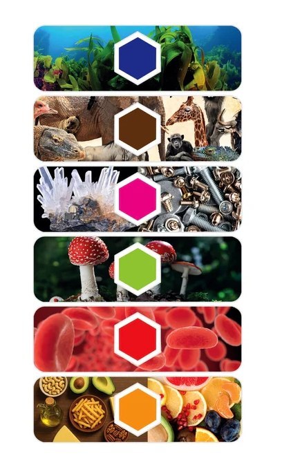 Naukowa Zabawa Mikroskop Digital Interaktywny z AI i Kamerą Wi-Fi Język Polski Clementoni 50406