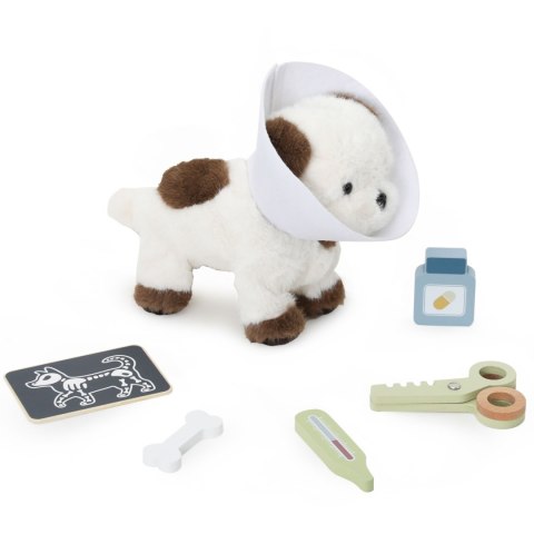 VIGA PolarB Zestaw do pielęgnacji zwierząt - Mały Weterynarz