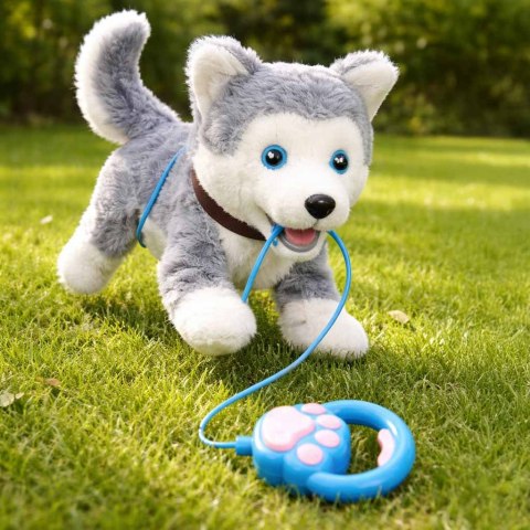 PIESEK INTERAKTYWNY HUSKY NA SMYCZY CHODZI SZCZEKA RUSZA OGONEM DŹWIĘKI