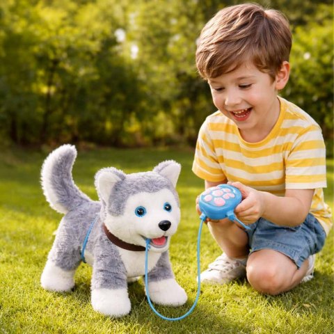 PIESEK INTERAKTYWNY HUSKY NA SMYCZY CHODZI SZCZEKA RUSZA OGONEM DŹWIĘKI