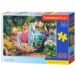 PUZZLE SEKRETNY SZLAK 100 ELEMENTÓW CASTORLAND