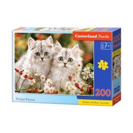 Puzzle 200 persian kittens