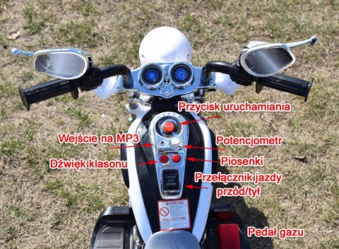 MOTOR CHOPPER Z OPARCIEM, WARKIEM SILNIKA/SH618 MOTOR CHOPPER Z OPARCIEM, WARKIEM SILNIKA/SH618