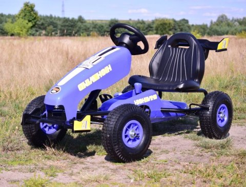 NAJNOWSZY GOKART NA PEDAŁY, KOŁA POMPOWANE, HAMULCE/G202 NAJNOWSZY GOKART NA PEDAŁY, KOŁA POMPOWANE, HAMULCE/G202