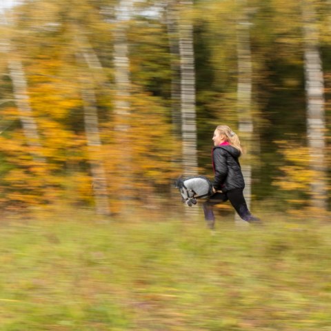 HOBBY HORSE SKIPPI KOŃ NA KIJU KASZTANOWATY DLA DZIECI DO ZABAWY JAZDY SKOKÓW