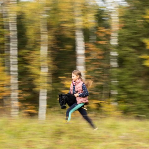 HOBBY HORSE SKIPPI KOŃ NA KIJU SZARY DLA DZIECI DO ZABAWY JAZDY SKOKÓW