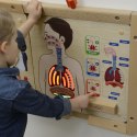 MASTERKIDZ Tablica Edukacyjna Układ Oddechowy Montessori