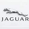 Jaguar na akumulator